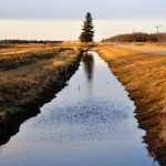 “The country … doesn’t think enough about protecting its water in terms of food management and production,” the report says.