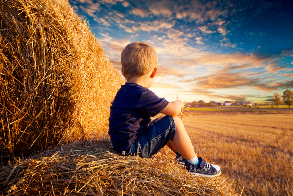 With 12 deaths from 2011 to 2020 and a rate of 4.3 per 100,000 farm population, children ages one to four were disproportionately represented in the report category measuring ag-related bystander runovers by age.