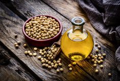 Louis Dreyfus to build Ohio soy crush plant