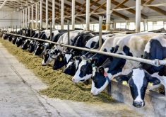 “It’s rare to be able to find so many studies on a commodity ingredient.” – Essi Evans.