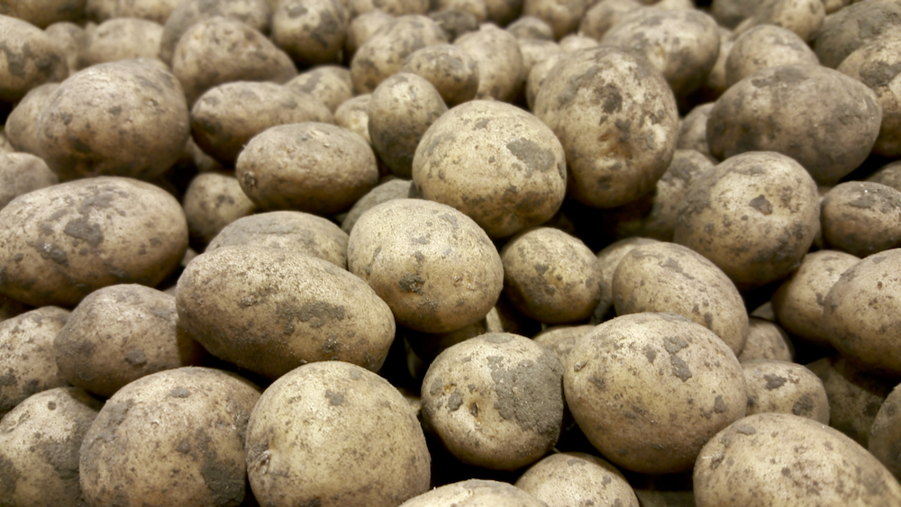potatoes