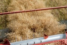 Harvest sample program runs until month’s end