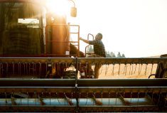 “It has to be family, farm and then commission work. Those should be your priorities at
all times.”