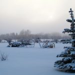 The next few weeks indicate relatively mild temperatures but snowfall is a wild card, said Andrew Pritchard, senior meteorologist with Nutrien Ag Solutions.