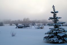 The next few weeks indicate relatively mild temperatures but snowfall is a wild card, said Andrew Pritchard, senior meteorologist with Nutrien Ag Solutions.