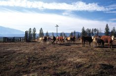 'We continue to see producers having to make the tough decision to exit the industry as it is no longer financially feasible to remain.'