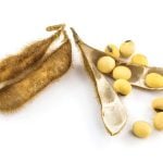 China soybean imports surge