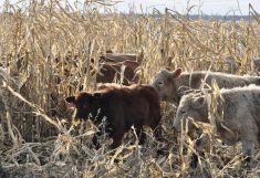 Ottawa says the challenge will help contribute to the goal of emission reductions and an eventual net-zero status.