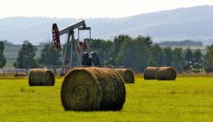 “There’s a lot of fractional ownership in wells. There’s lots of... sites that are out there that aren’t orphaned and the responsible party is somebody else.” – Lars DePauw, Orphan Well Association president.