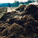 Winter manure management