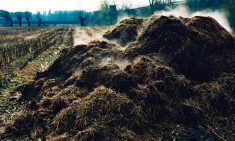 Winter manure management