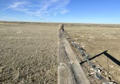 A pasture and corral south of Medicine Hat, Alta., is indicative of the conditions faced by cattle producers in Western Canada’s Palliser Triangle as the region continues to see little precipitation going into winter.
