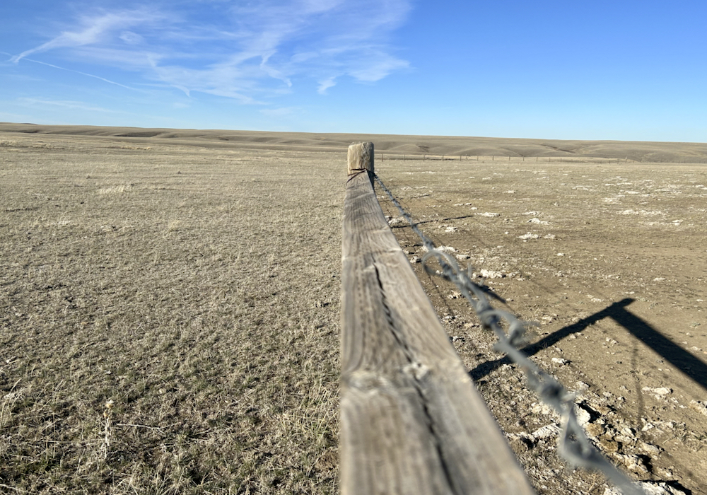 A pasture and corral south of Medicine Hat, Alta., is indicative of the conditions faced by cattle producers in Western Canada’s Palliser Triangle as the region continues to see little precipitation going into winter.