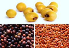 Keep your crops market ready