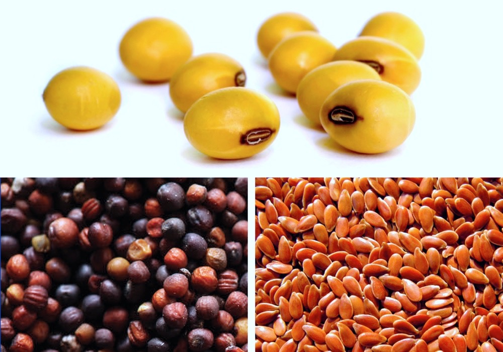 Keep your crops market ready