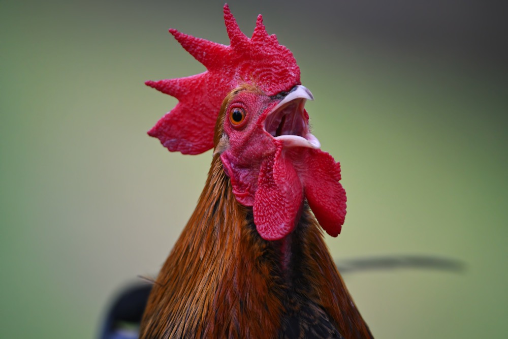 (Freder/iStock/Getty Images)
