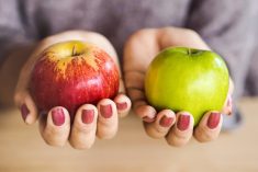 Opinion: I grew this food for you …