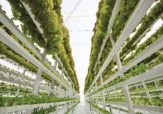 “I think that indoor ag provides that kind of efficiency for land and space and just even opportunity.” – Jay Steeves.