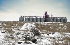 Prairie forecast: Mild and dry weather right up to the holidays