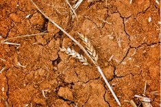 “Pointing a withered finger at agriculture as the culprit doesn’t hold ground because we are only a speck on the landscape. Only 4.3 per cent of Canadian soil is currently arable.” – Brenda Schoepp.