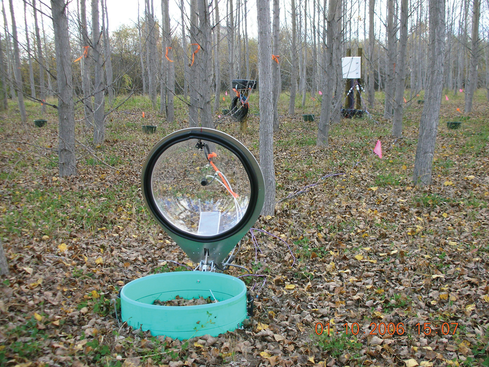 Image pour Building a better fertilizer from wood waste