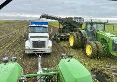 Sugar beet growers in southern Alberta harvested 856,636 tonnes of sugar beets this November.
