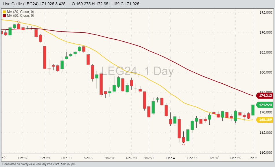 Live cattle LEG24 on Jan. 2 with 20 and 50-day moving averages. (Barchart)
