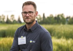 Field-scale trials show little variability in spring wheat yield based on seeding rates, but there may be other advantages to higher rates.