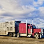 “Our sectors and our drivers want reassurance that a threat to animal welfare is deemed an emergency situation.” – Cathy Jo Noble, National Cattle Feeders’ Association vice-president.