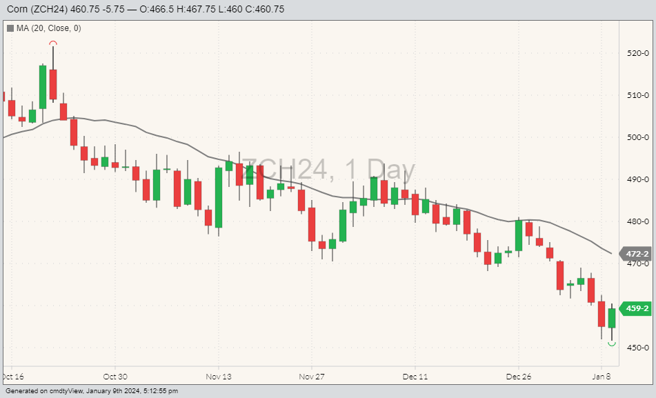Corn ZCH24 on Jan. 9 with 20-day moving average. (Barchart)
