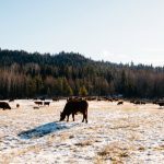 Agrirecovery deadline approaches