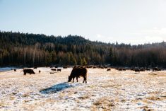 Agrirecovery deadline approaches