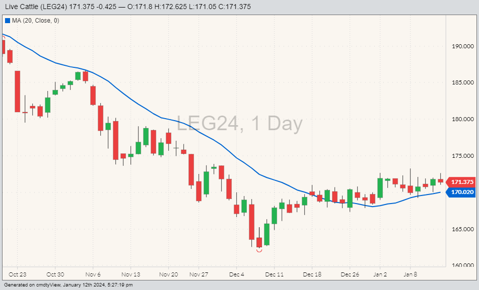 Live cattle LEG24 on Jan. 12, with 20-day moving average. (Barchart)
