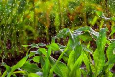 Photo: Thinkstock
