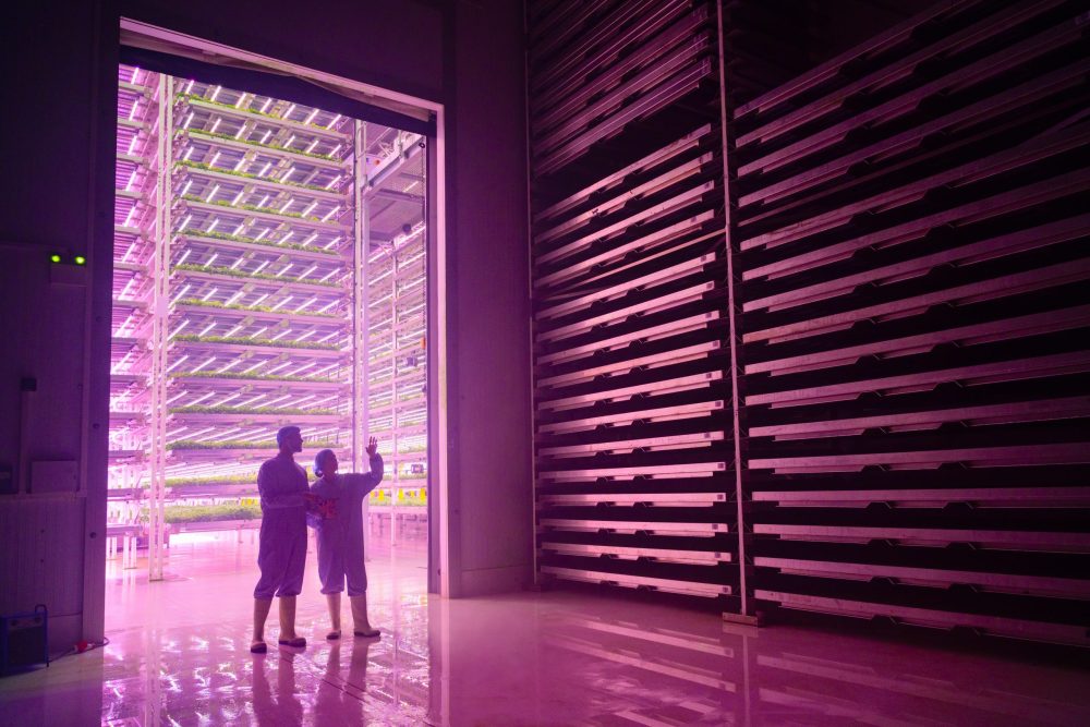 Vertical farming could mean year-round fresh produce for even the most remote places in northern Canada. Photo: Johnny  Greig/iStock/Getty Images