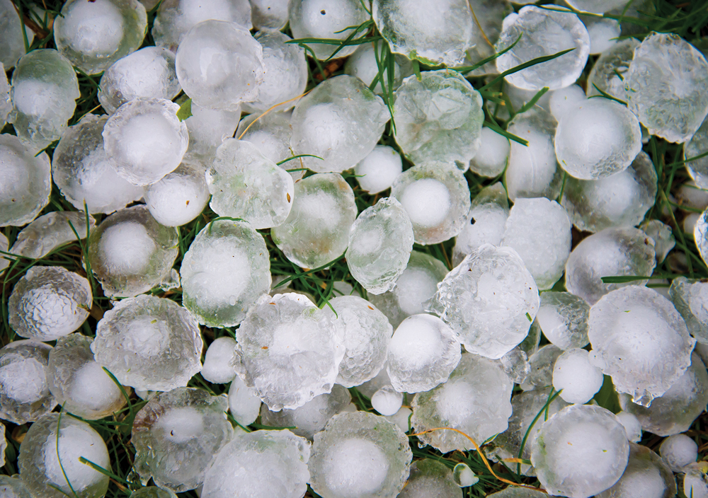 AFSC offers two hail insurance options to Alberta producers: hail endorsement and straight hail insurance.