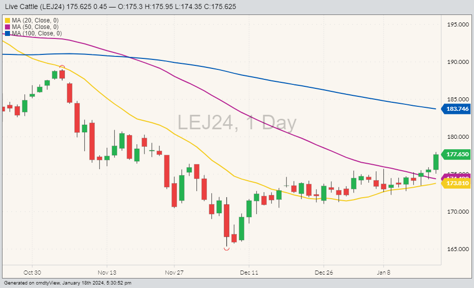 CME live cattle LEJ24 on Jan. 18 with 20, 50 and 100-day moving averages. (Barchart)
