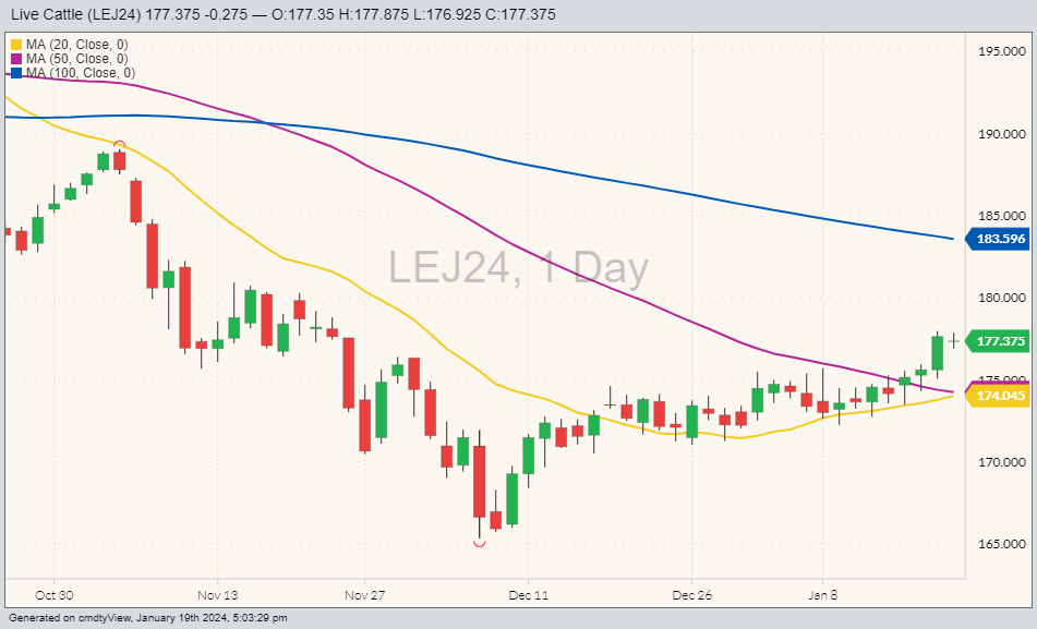 CME live cattle LEJ24 on Jan. 19 with 20, 50 and 100-day moving averages. (Barchart)
