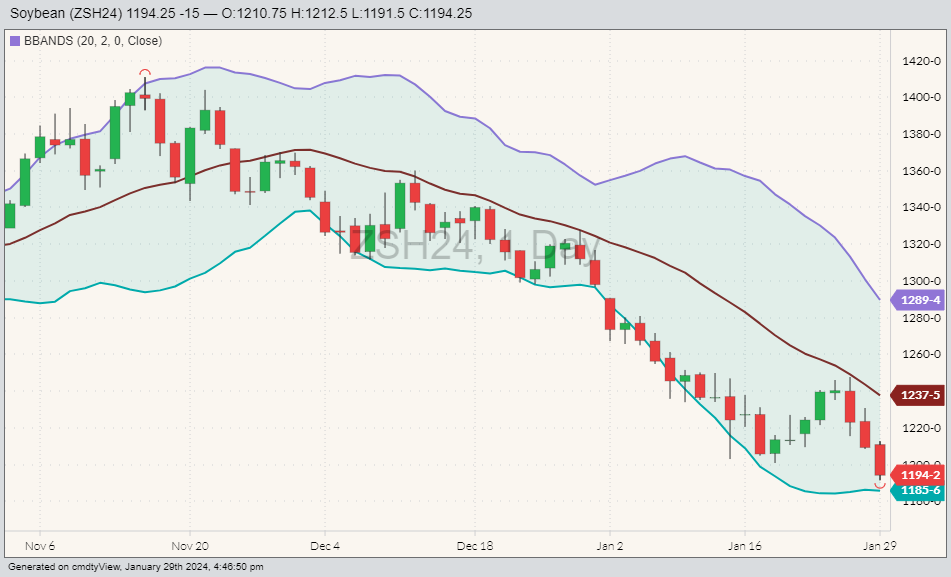 CBOT Soybeans ZSH24 on Jan. 29, 2014 with Bollinger bands. (Barchart)
