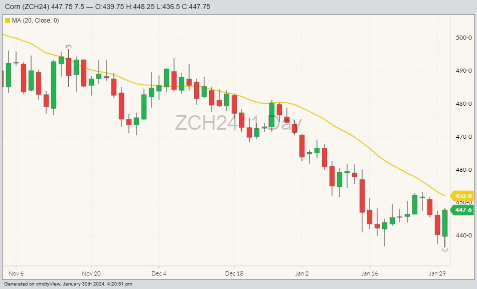 CBOT corn ZCH24 on Jan. 30 with 20-day moving average. (Barchart)
