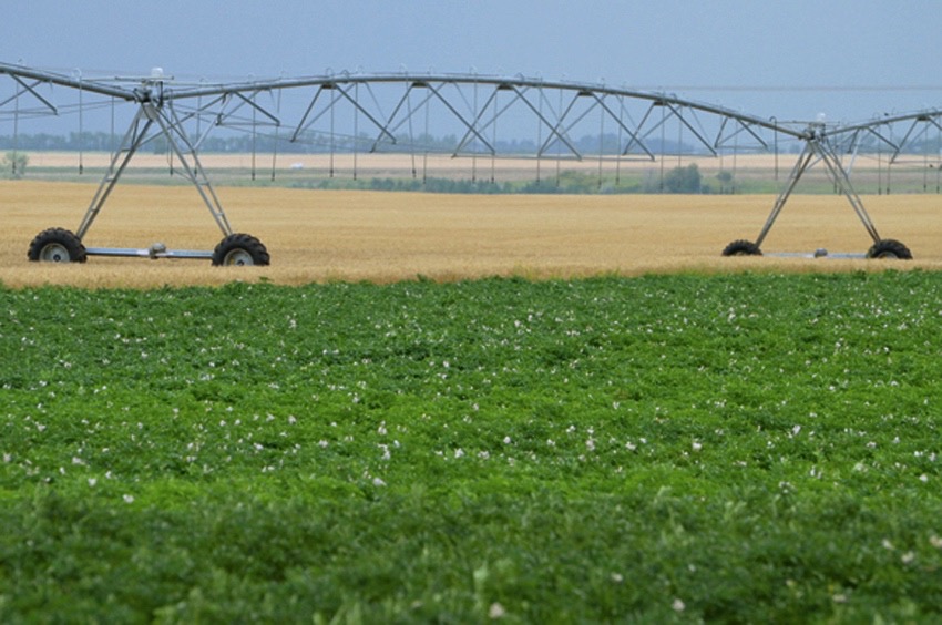 According to the Government of Alberta website, the province has the largest irrigated area in Canada with nearly 680,000 hectares of irrigated land.