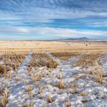 Photo: James_Gabbert/iStock/Getty Images Plus