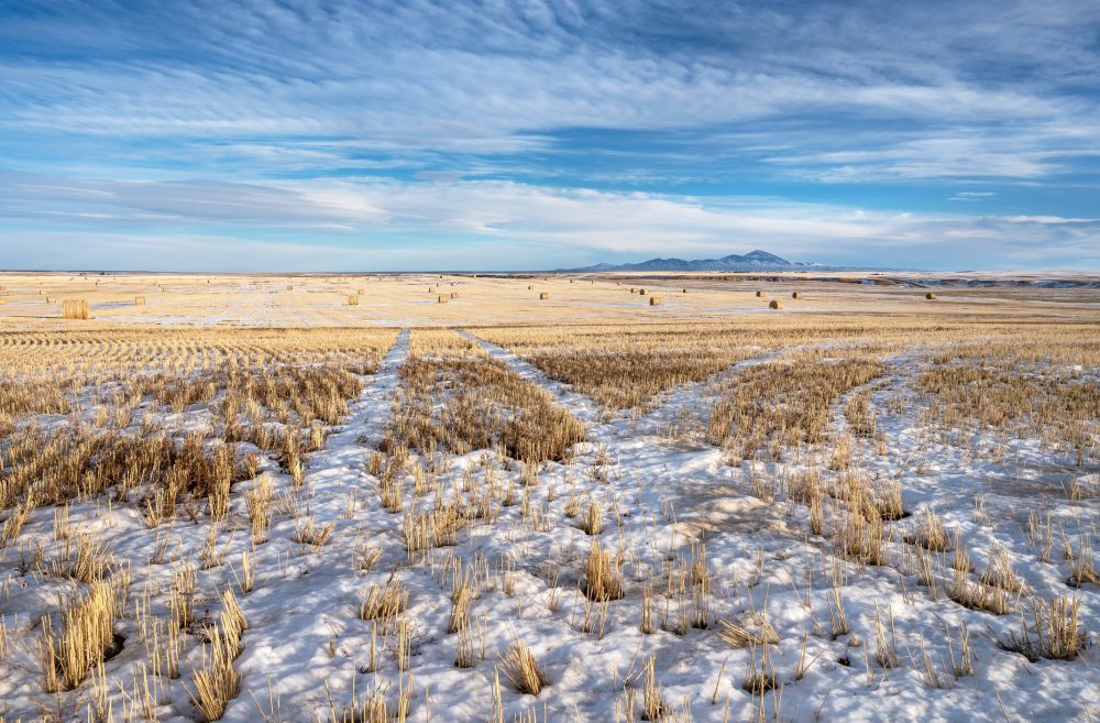 Photo: James_Gabbert/iStock/Getty Images Plus
