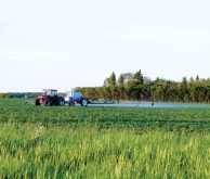 photo: kim alexander