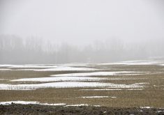 A slim and disappearing snowpack has been a familiar sight this winter.