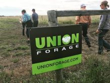 Photo: Union Forage/Facebook
