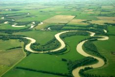 File photo of northern Alberta farmland. (Wonganan/iStock/Getty Images)
