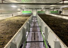 Annelida Soil Solutions has a 90,000-sq.-foot facility in Nisku, that has about 80 million worms that collectively weigh about 36,000 kilograms. They live in one-metre-deep worm beds that are 24 metres long by 2.4 metres wide and are vertically stacked like bunk beds up to several stories high.
