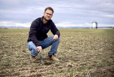 Jeremy Boychyn says even a dry year can reveal meaningful results in on-farm trials.