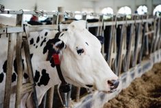 DIW will be the first-of-its-kind-in-Canada milk centration facility.